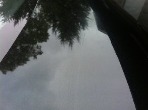 2013-05-23 19.56.04.jpg